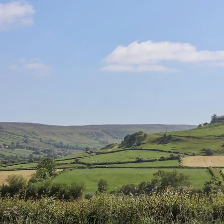 Daffodil Dom wakacyjny