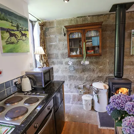 Dom wakacyjny Daffodil