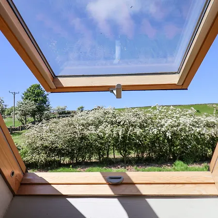 Dom wakacyjny Daffodil *