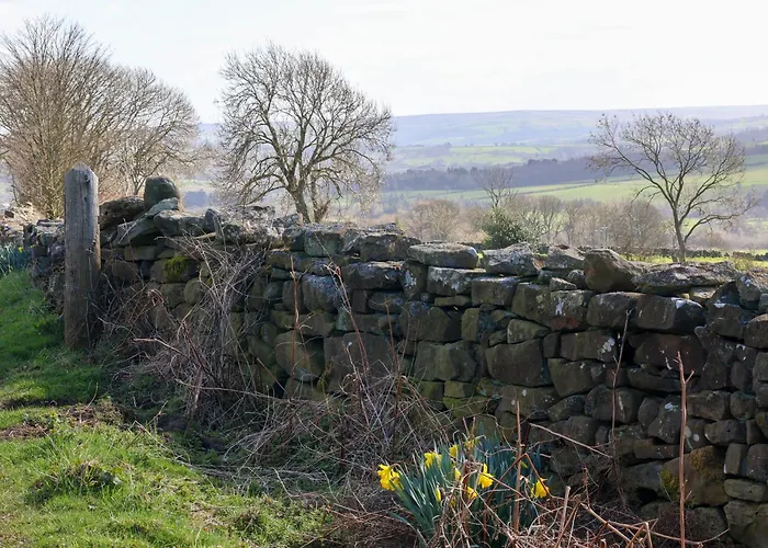 Daffodil Сasa de vacaciones Danby