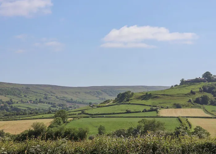 Daffodil Сasa de vacaciones