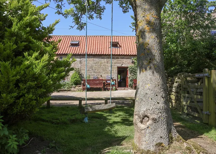 Daffodil Сasa de vacaciones *