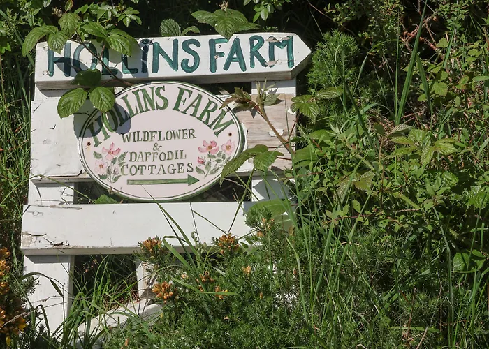 Daffodil Сasa de vacaciones *