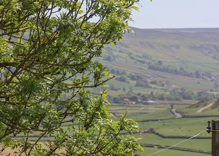 Сasa de vacaciones Daffodil