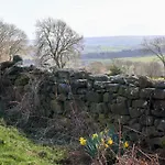 Daffodil בית נופש Danby