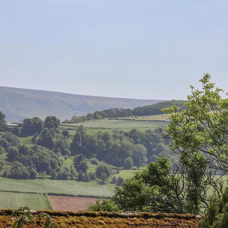 Дом отдыха Daffodil