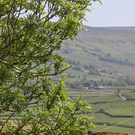 Дом отдыха Daffodil